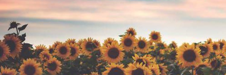 AbsentHippy's profile banner image