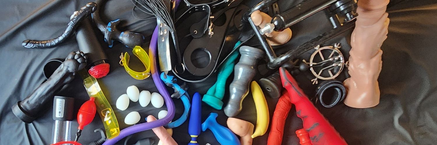 MTL Pup Bébert banner