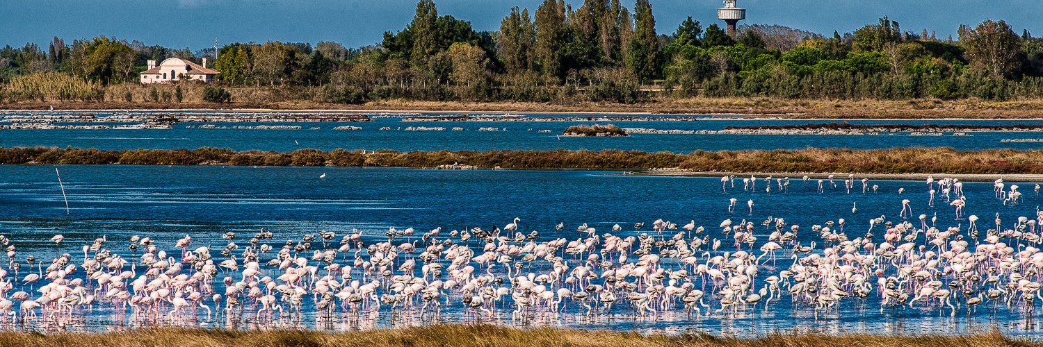 Parco Delta del Po banner