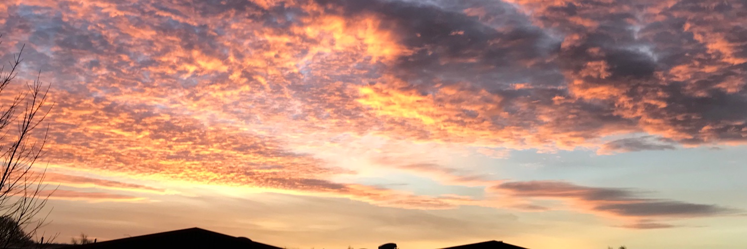 Effie B is drafting banner