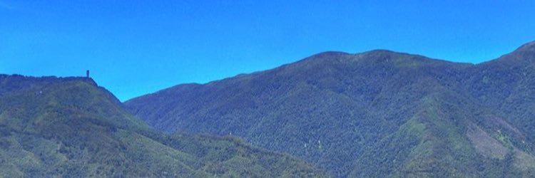 Isabel C Ferris banner