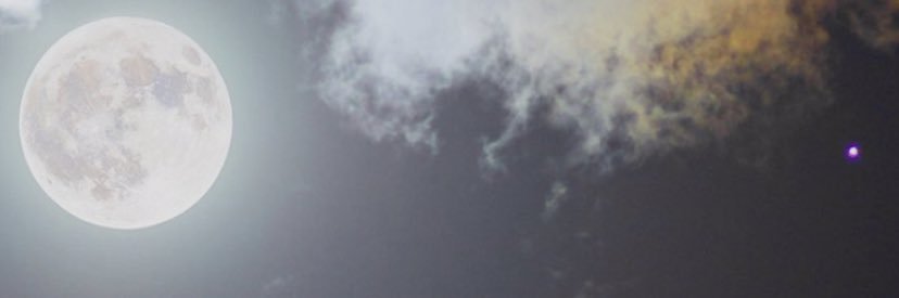 Barton Parker banner