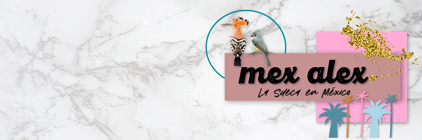 Alexandra Ivanisevic banner