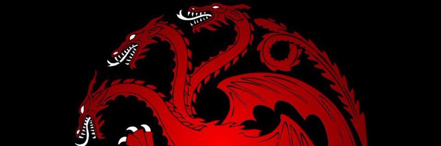 Trav of House Targaryen🐉 banner