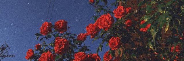 XxNaSaxX💋🔥 banner