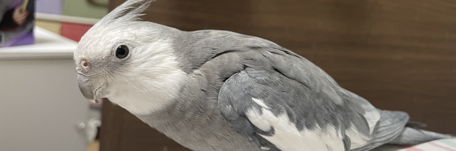 やま家(やまけ) banner