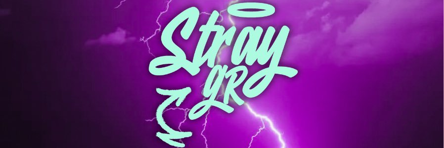 estraygr's profile banner image
