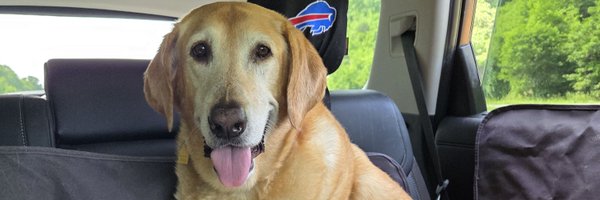 ESPNChristine Profile Banner