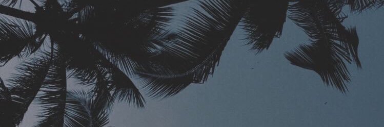 คิมหันต์🌙 @LA banner