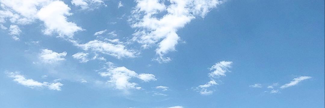 빵 banner