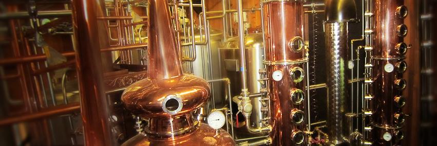 Fremont Mischief banner