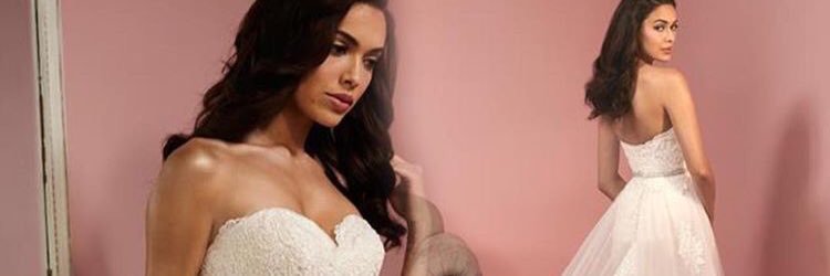 Enchantbrides's profile banner image