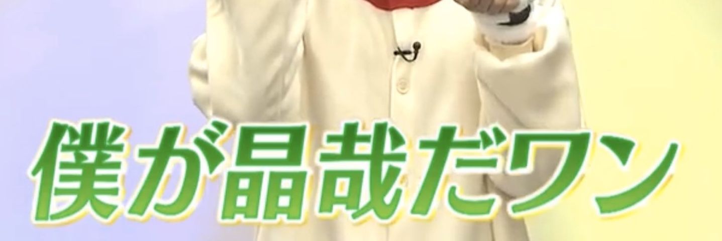 東京都免許更新は予約制です🍫 banner