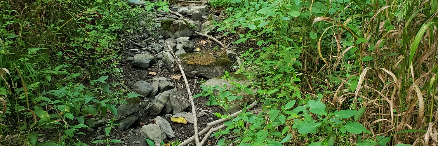 Studforfun1989 / Disabled Dream banner