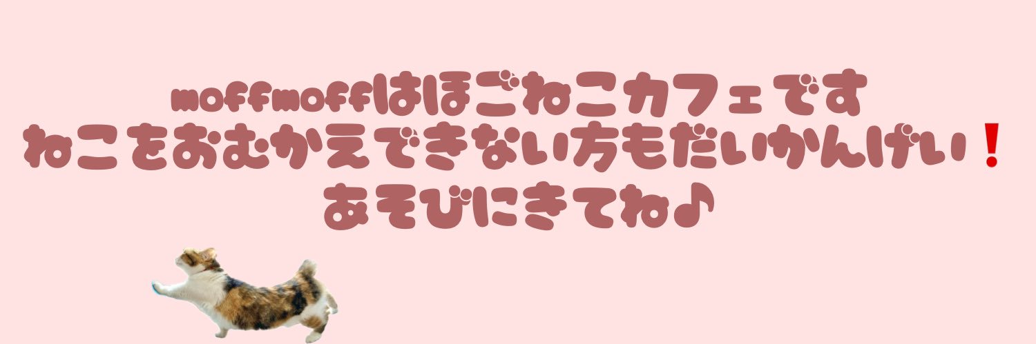 保護猫カフェmoff moff🐈 banner