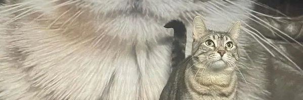 kwyite's profile banner image