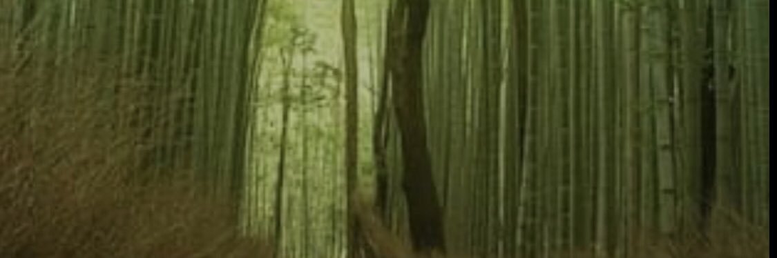 changkylechang's profile banner image