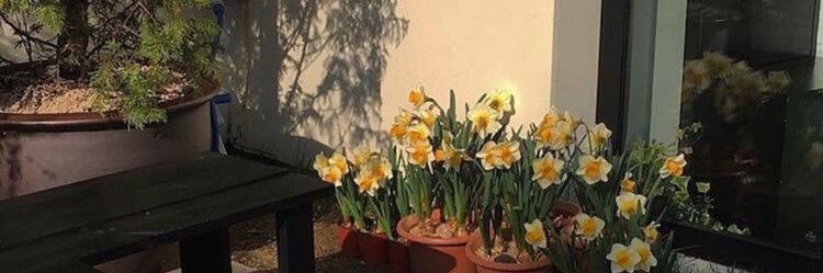 stalduck's profile banner image