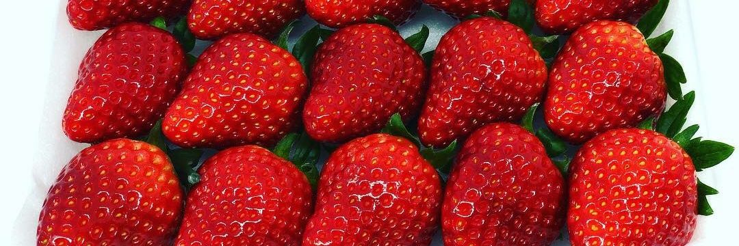 marukinfarm🍓 banner