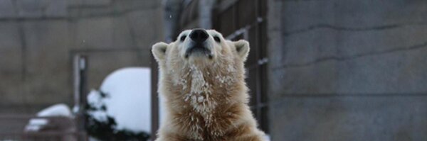 tomorrow56 Profile Banner