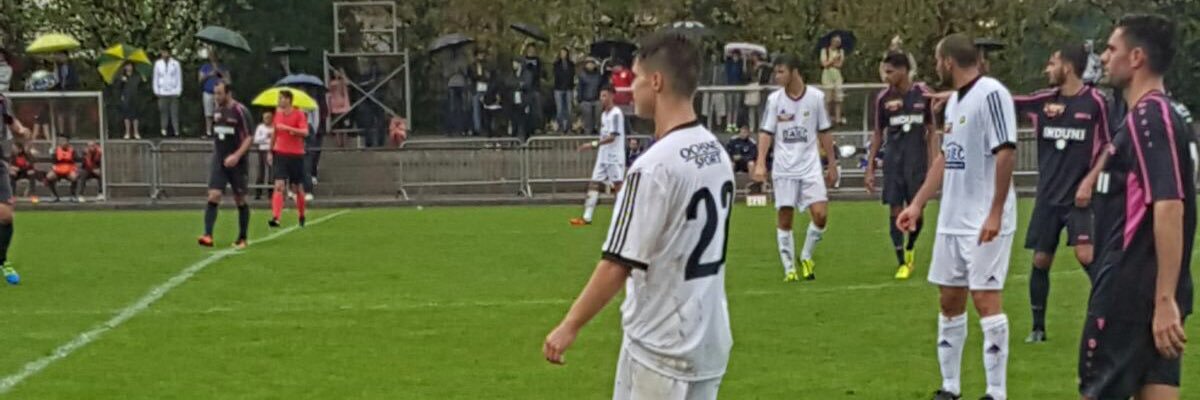 lorismettler's profile banner image