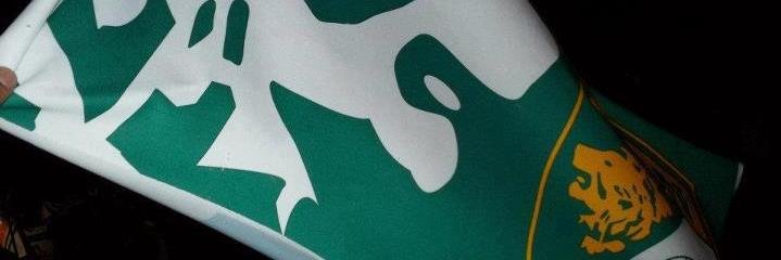 PauGoFe's profile banner image