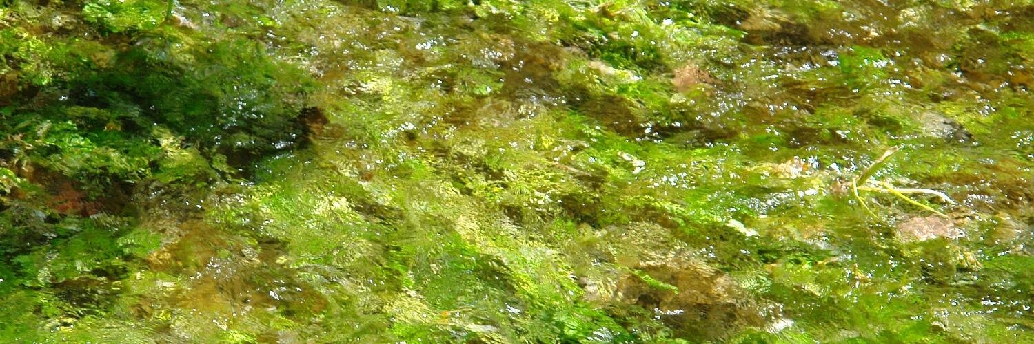 AntonioBergonzi's profile banner image