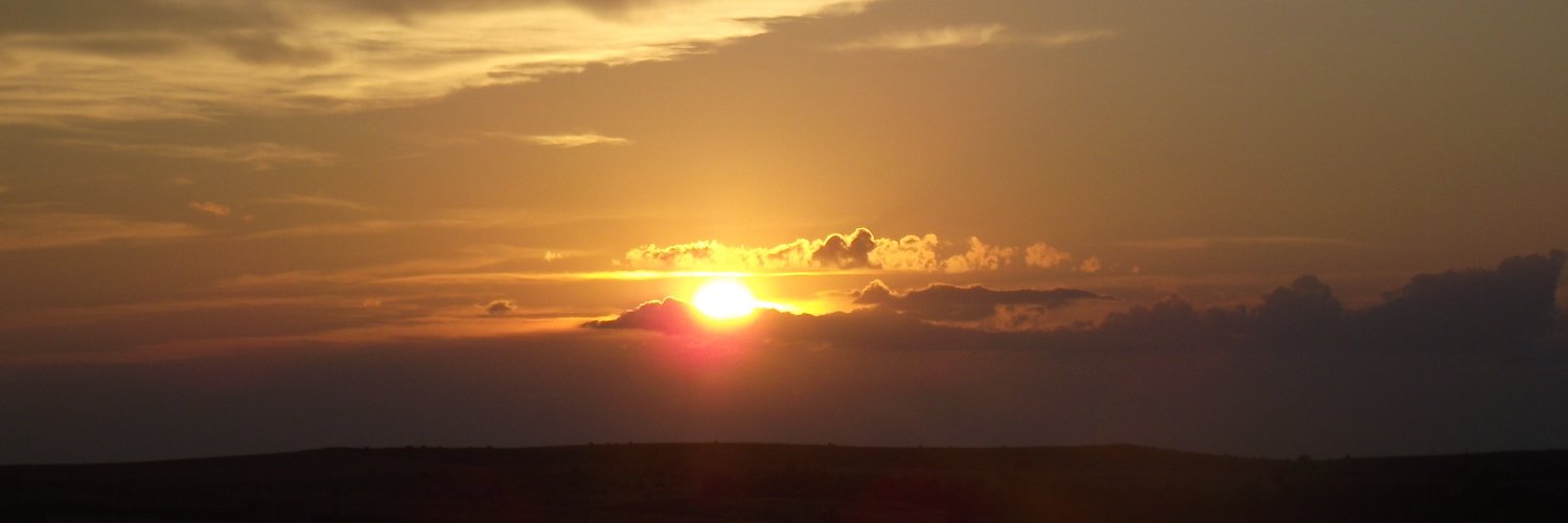 Ferdinand Romero banner