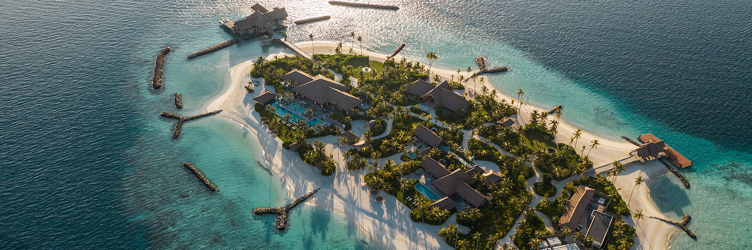 Kiwi Collection banner