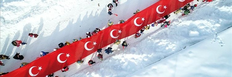 Doğanay D banner