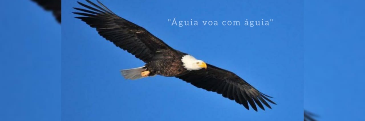 sandracstenorio's profile banner image