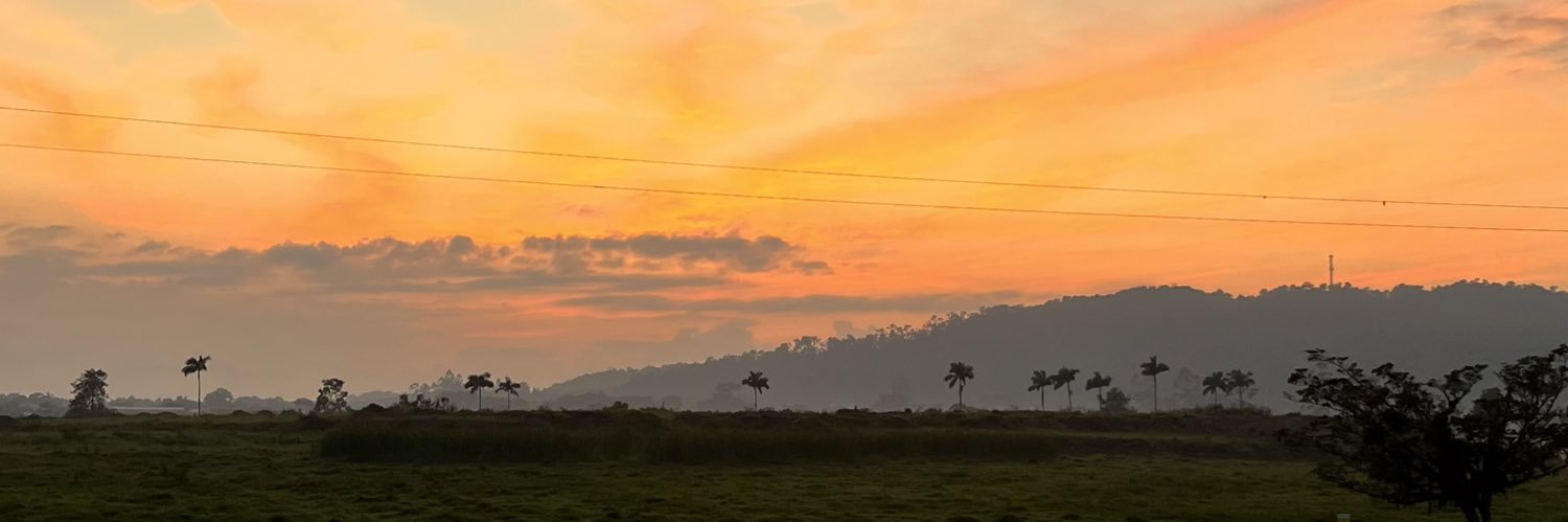 HugoBacaro's profile banner image