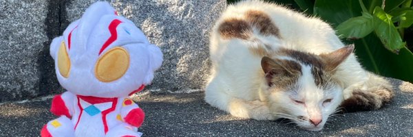 Rayteyssv Profile Banner