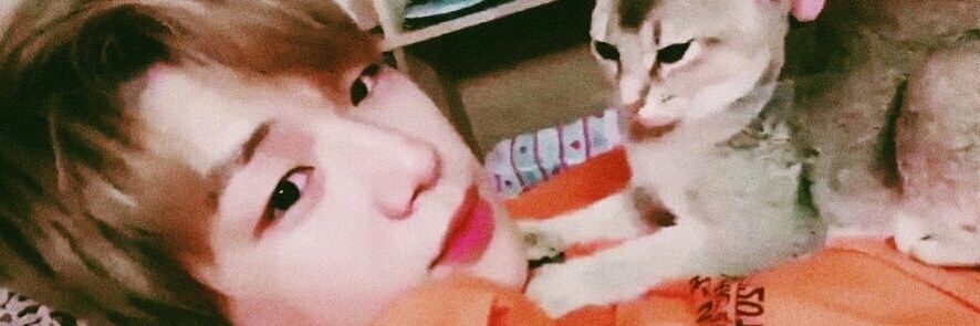 มะเดว banner