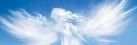 dragonzeusdiary's profile banner image