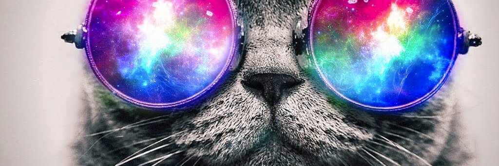 Maca_Liebsch's profile banner image
