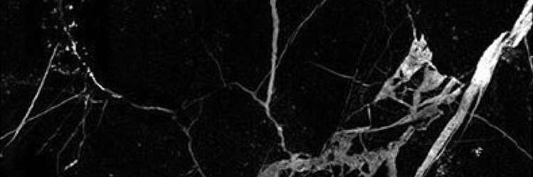 QtrTh11's profile banner image