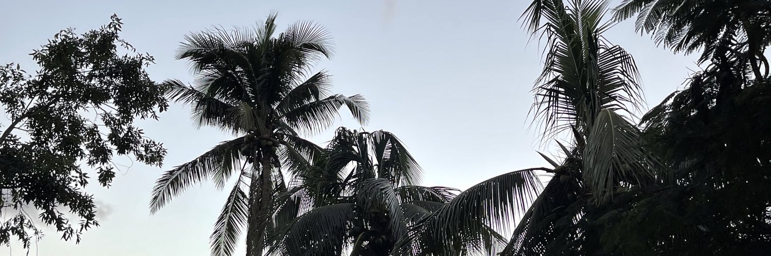 myrandapierson_'s profile banner image
