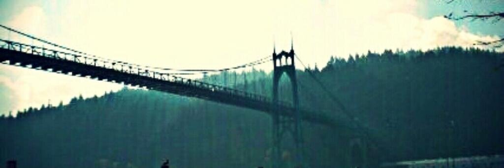 Cecilia Serrano banner