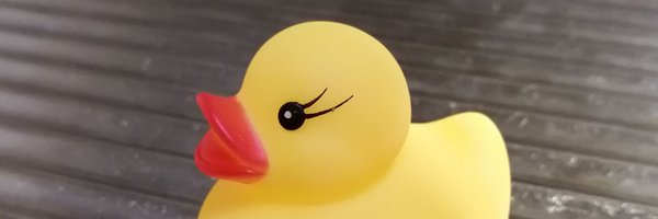pi_pipi33 Profile Banner