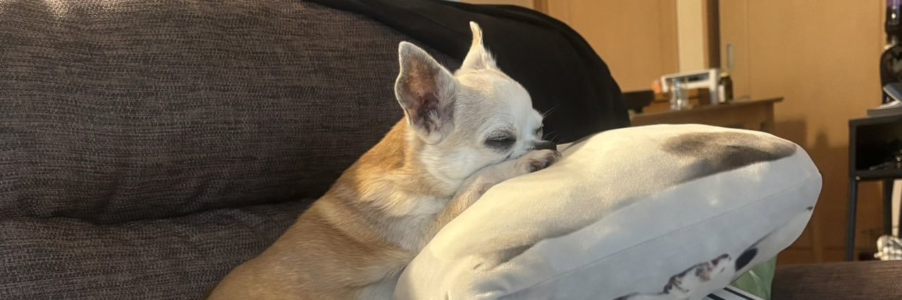 ラテ☕️関けもG-67 banner