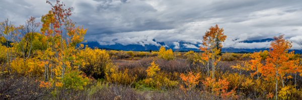 bharath__2020 Profile Banner