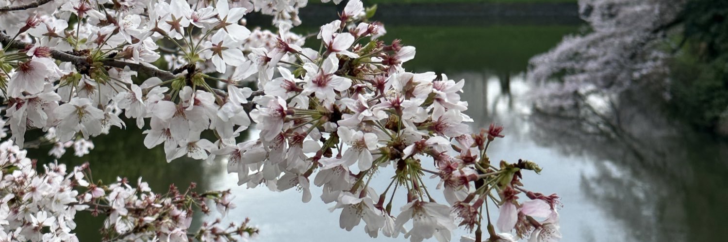 yamami_117's profile banner image