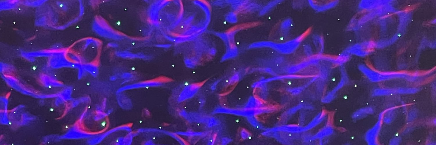 mlnkhr's profile banner image