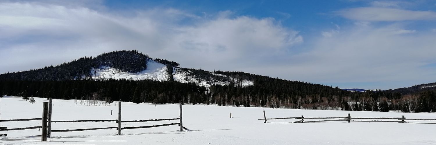 david_nebor's profile banner image