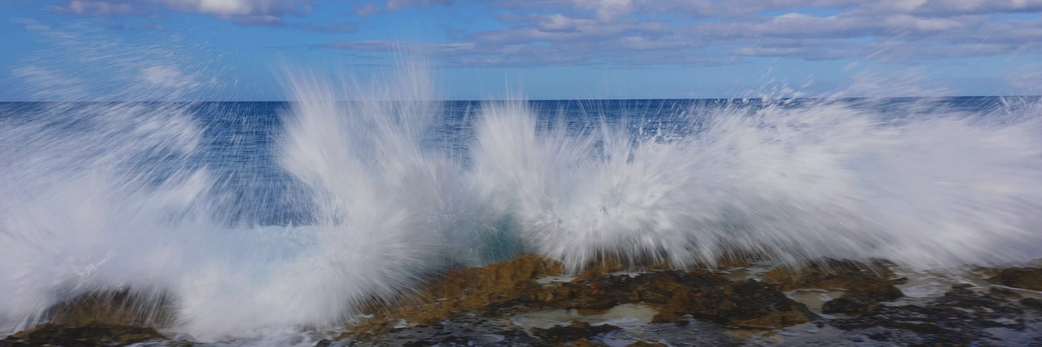 Neil Sturgeon banner