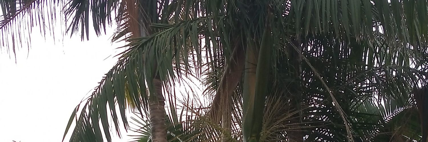 JairoValim's profile banner image