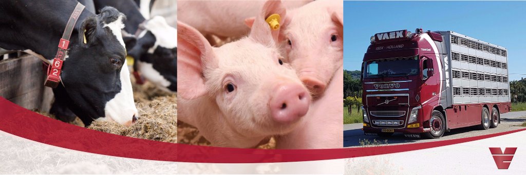 VAEXLivestockTraders banner