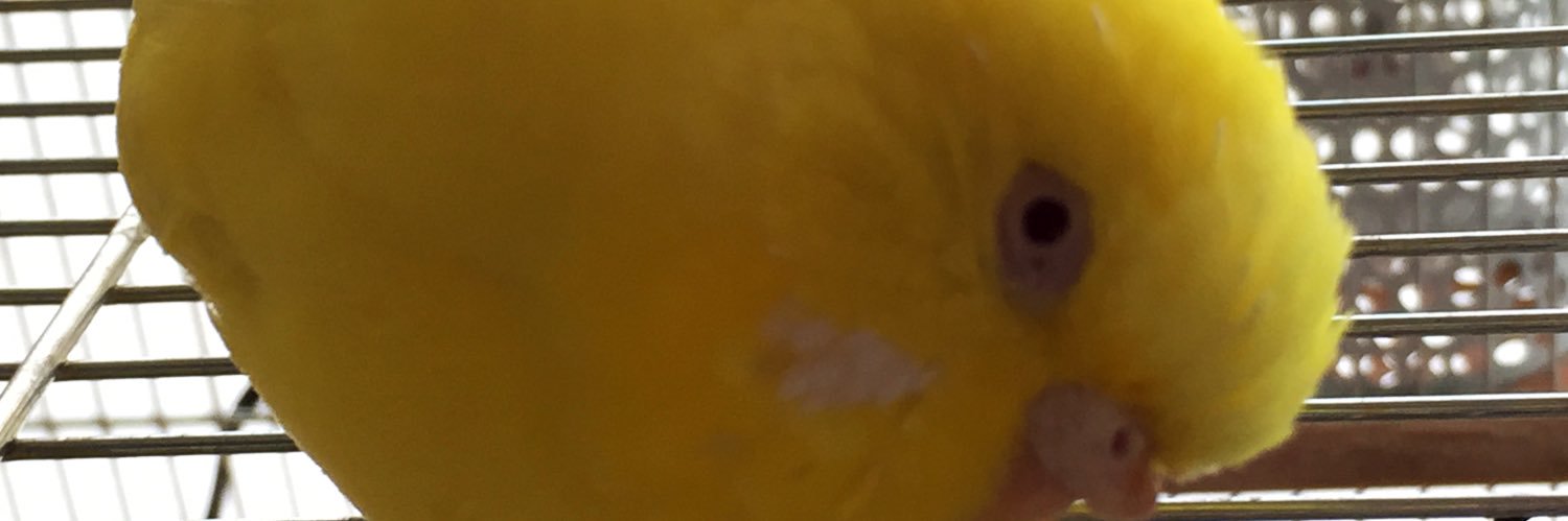 はっぴぃ banner