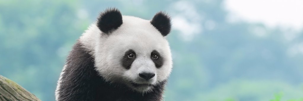 arcesmind's profile banner image